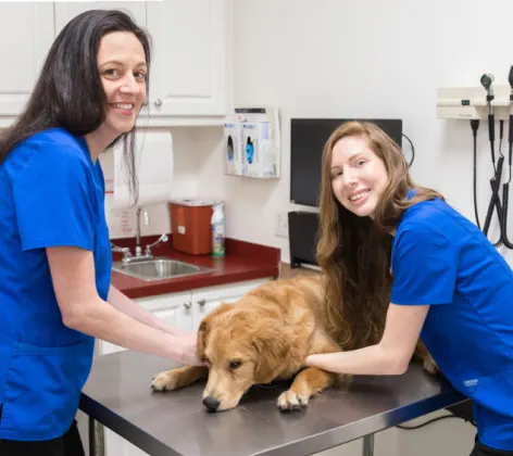 Two staff members with a brown dog at The Animalife Veterinary Center at Mission Hills